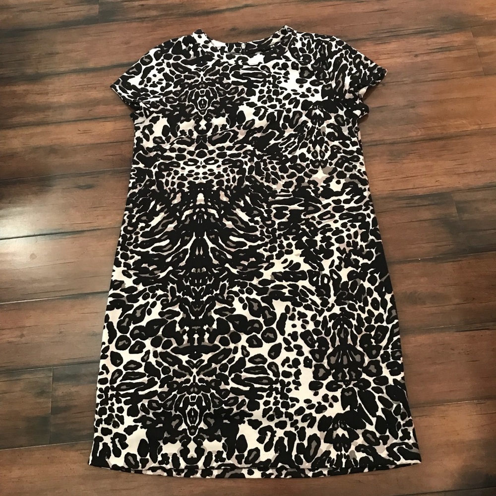 H and m leopard dress sz small euc